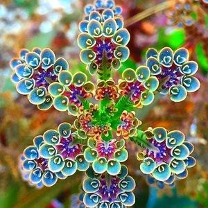 Meet your Posher, Candice